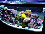 My Reef 1